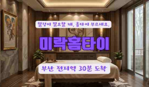 미락홈타이