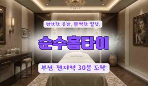 순수홈타이
