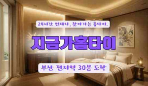 지금가홈타이