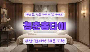 청춘홈타이