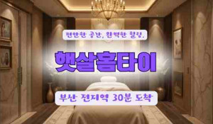 햇살홈타이