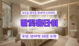 달빛홈타이