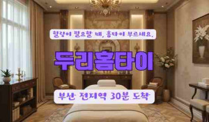 두리홈타이