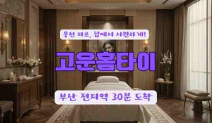 고운홈타이