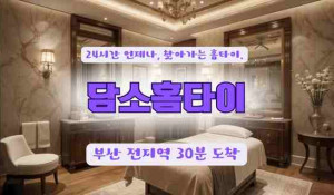 담소홈타이