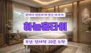 하늘홈타이