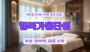 행복가홈타이