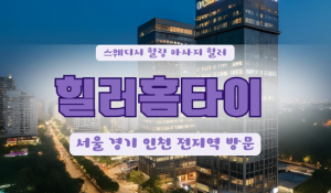 내삼미힐러
