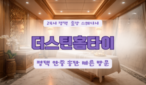 신평더스틴홈타이