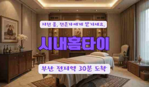 시내홈타이
