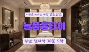 늘품홈타이