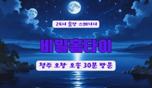 청주비밀홈타이