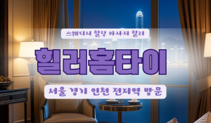 대흥힐러홈타이