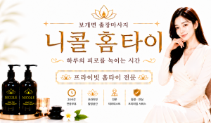 니콜홈타이