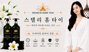 스텔리홈타이