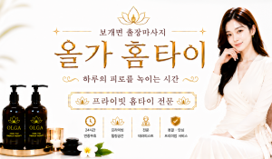 올가홈타이