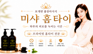 미샤홈타이