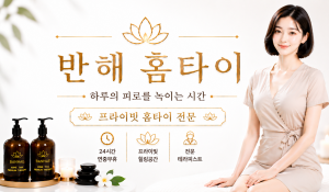 반해홈타이