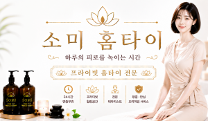 소미홈타이