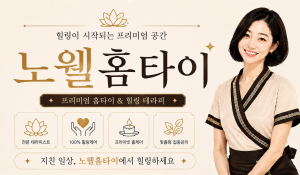 노웰홈타이