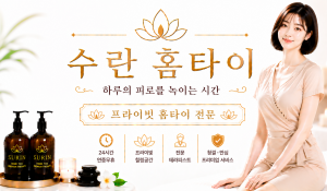수린홈타이