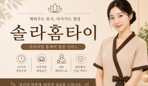 솔라홈타이