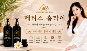 메티스홈타이