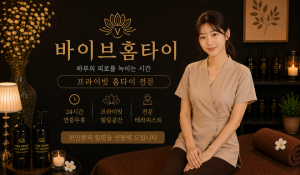 바이브홈타이