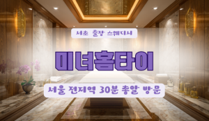 양재미녀홈타이
