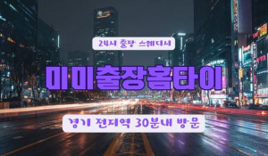 미미출장홈타이