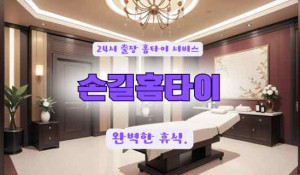 손길홈타이