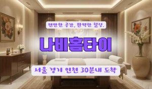 나비홈타이