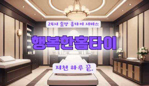 행복한홈타이