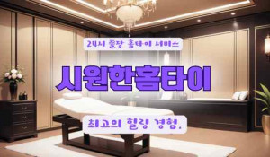 시원한홈타이