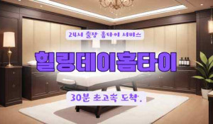 힐링데이홈타이