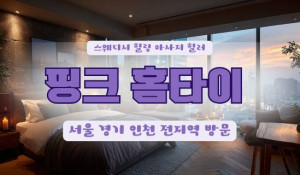 핑크출장마사지