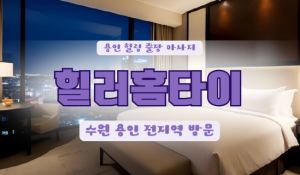 원삼힐러홈타이