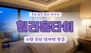 상하힐러홈타이