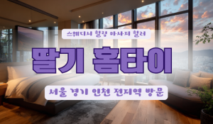 딸기출장홈타이