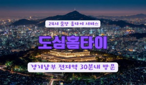도심홈타이