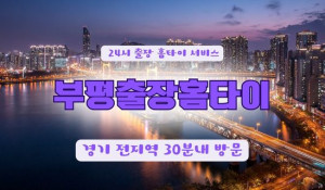 냥이홈타이