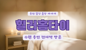 모현힐러홈타이
