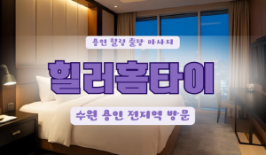 풍덕힐러홈타이