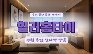 수지힐러홈타이