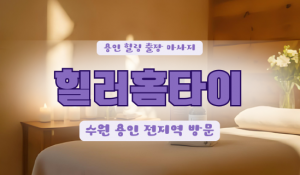 김량힐러홈타이