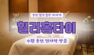 동백힐러홈타이