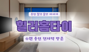 양지힐러홈타이