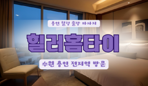 보정힐러홈타이