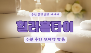 공세힐러홈타이