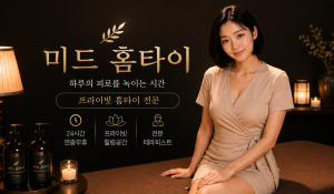 미드홈타이